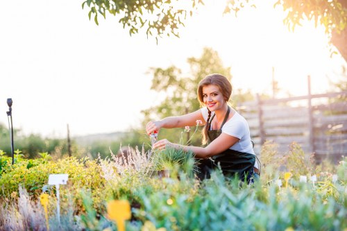 Transparent pricing for garden services in Archway with measured waste removal