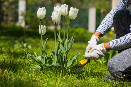 Gardening services in Archway for tidy residential outdoor spaces