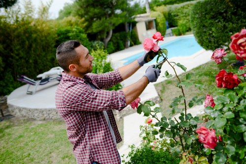 Tidy residential garden maintenance in Archway with lawns and borders