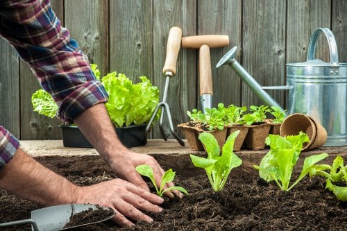 Review of a gardening complaint in progress