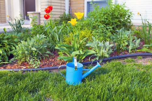 Professional garden clearance work in Archway