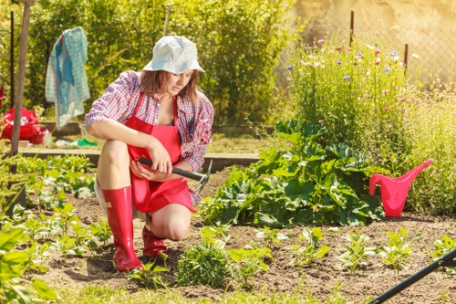 Accessible website structure for local Archway gardening services