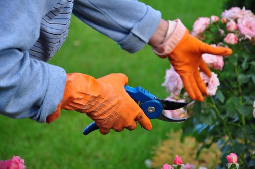 Inclusive online experience for Gardeners Archway visitors