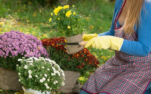 Safety-focused gardening team completing outdoor maintenance