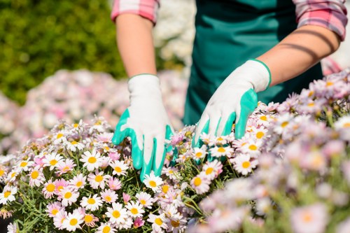 Escalation step within a garden complaints process