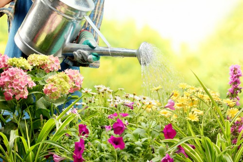 Front and back garden landscaping design in Archway