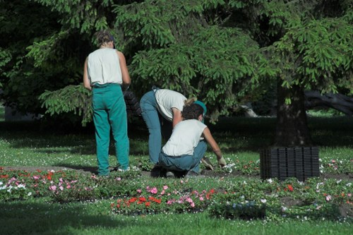 Professional hedge cutting and lawn care for an Archway garden