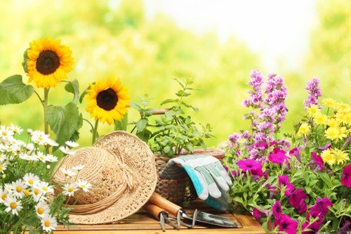 Recycling and sustainability practices for Archway gardeners