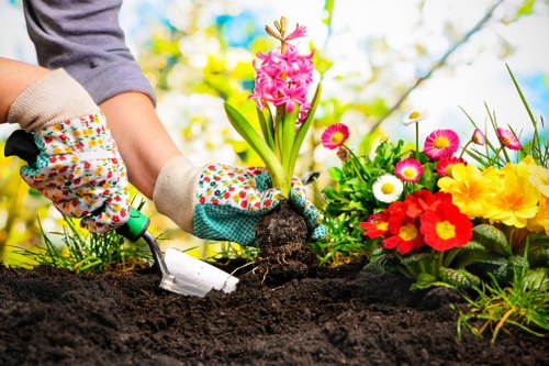 Health and safety procedures applied during garden maintenance tasks