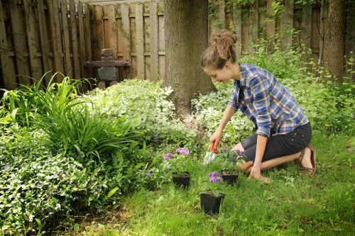 Seasonal gardening services in Archway for lawns and borders