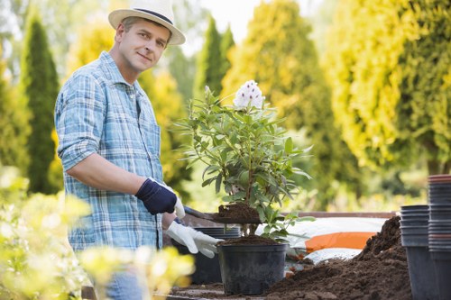 Garden waste removal and tidy-up in Archway