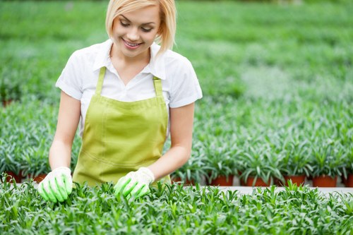 Freshly cut grass and lawn treatment in Archway