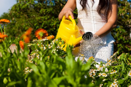 A well-maintained garden in Archway with clean paths and healthy planting
