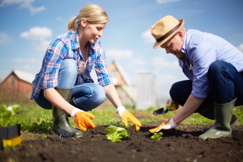 Reusable garden items prepared for charity donation