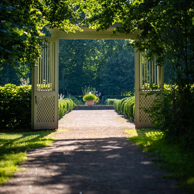 A sunlit garden pathway leading through a white wooden gate with open lattice doors, flanked by neatly trimmed, rounded green hedges on either side. The gravel path extends towards a central flower be