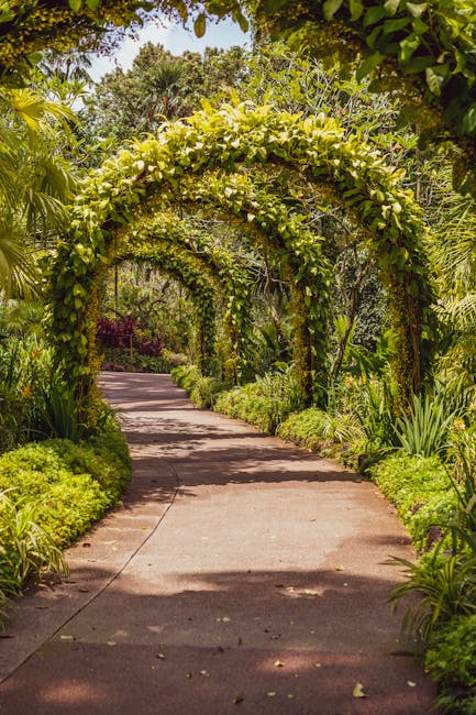 A sunlit garden pathway leading through a white wooden gate with open lattice doors, flanked by neatly trimmed, rounded green hedges on either side. The gravel path extends towards a central flower be