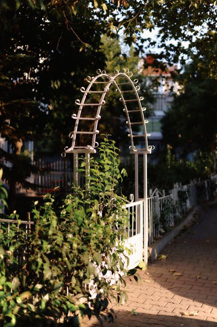 A narrow pathway within a green, arch-covered garden corridor features a brick-paved walkway flanked by lush potted plants and shrubs on both sides. The arch structure is covered with hanging and clim